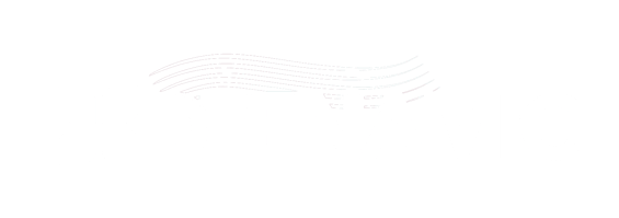 Deenamic Final Logo White